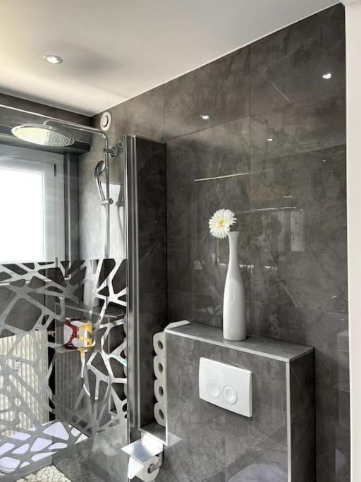 Superbe Appartement Lumineux Avec Parking Gratuit Wintzenheim Exterior photo
